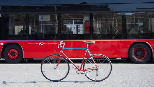 velo2.jpg